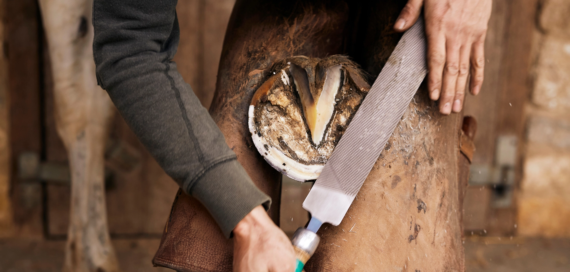 Image Gallery Surrey Farrier Farrier , Company Website, New Company, Free Website, Better Than Wix, Simple Website, New Website, Easy Website, Tec-Nut.com Websites Serving Dorking , Free Website,  Hoof Care, Easy Website, New Company, Better Than Wix, New Website, Better than squarespace, No Coding Website