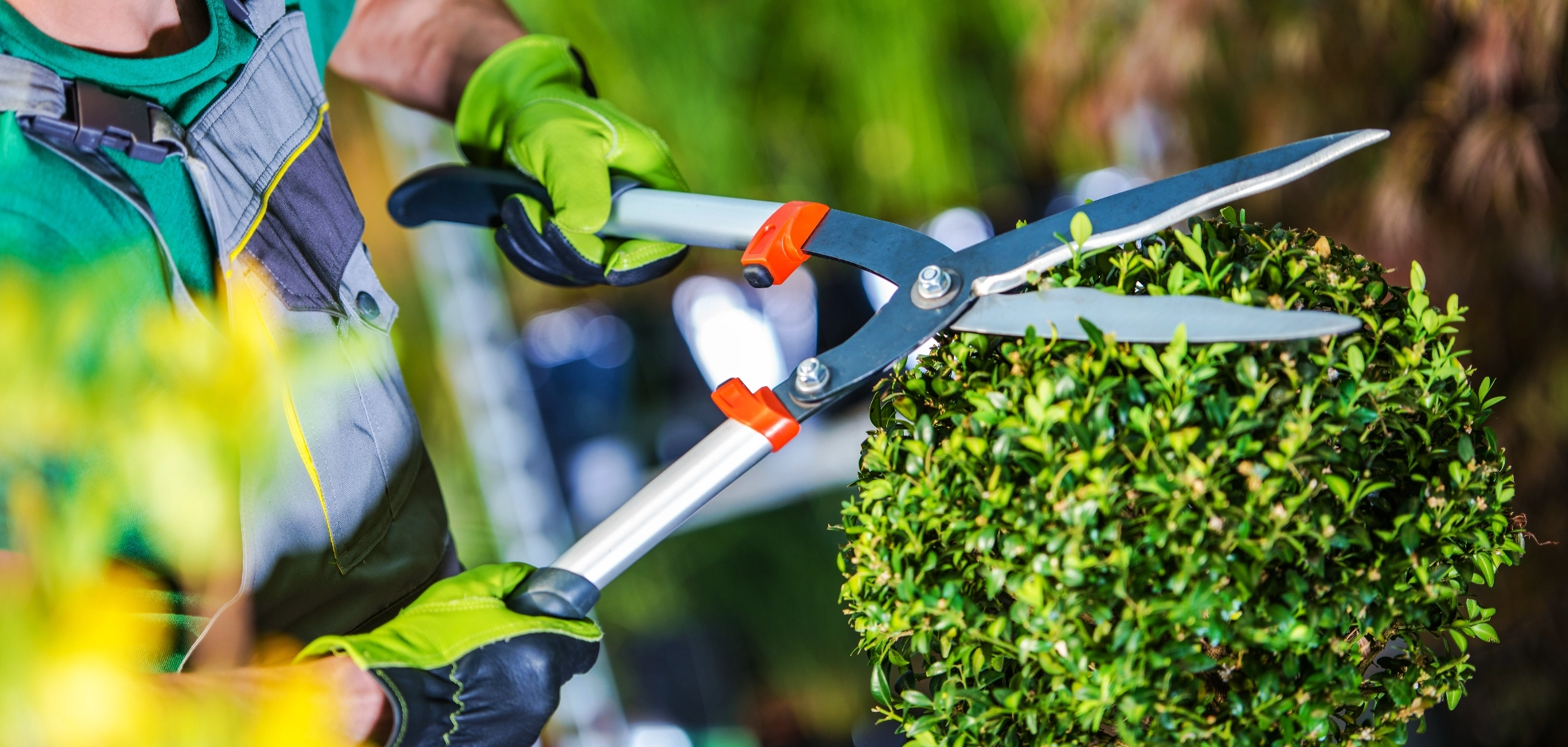 BikeNuts Gardener Serving Dorking