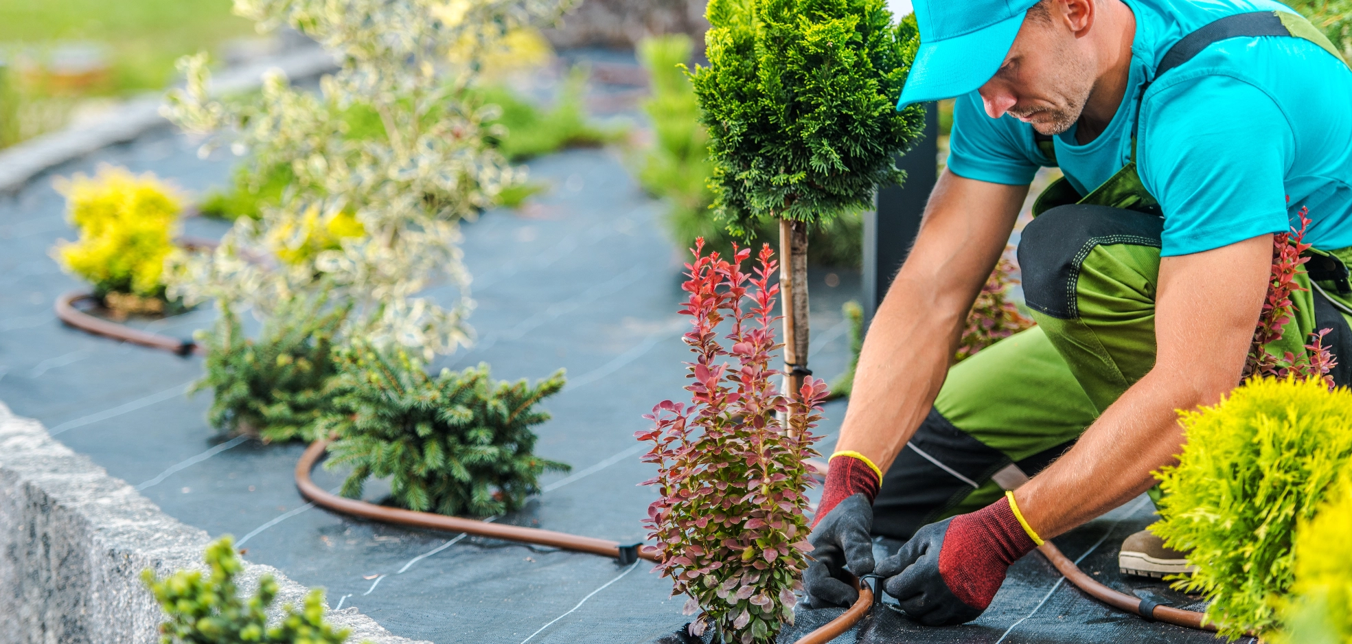 BikeNuts Gardener Serving Dorking