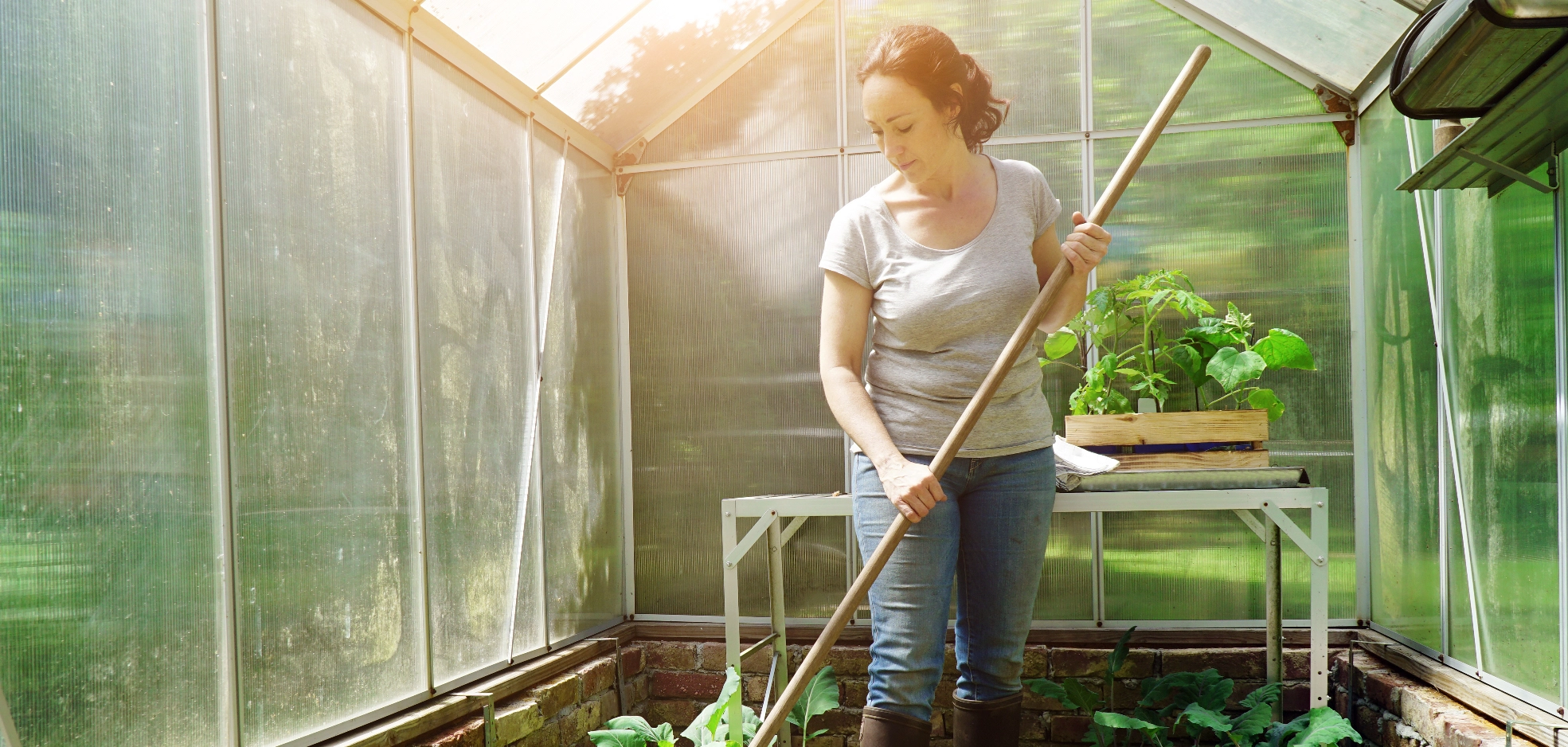 Image Gallery tec-nut.com for London Greenhouses -  Simple Website, Company Website, Free website template, , Free Website, No Coding Website, Best Website Builder, Free Website, Tec-Nut.com Websites, easy website, New Company, Easy Website