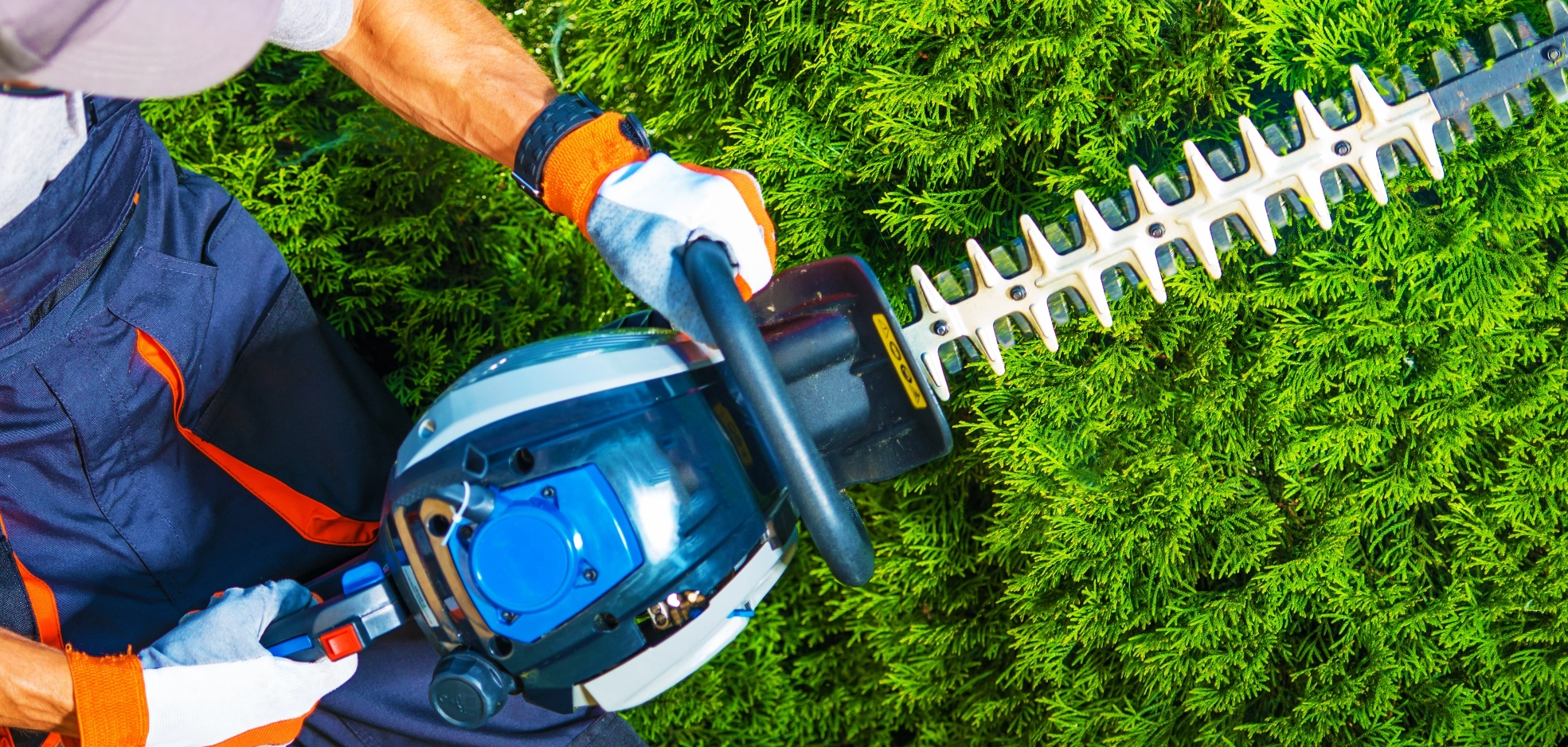 Image Gallery tec-nut.com for A1 Landscaper - Free Website, Tree services, Simple Website, Easy Website, Hardscaping, Website Builder, New Website, easy website, Free website template, Landscape design, Best Website Builder, Free Website