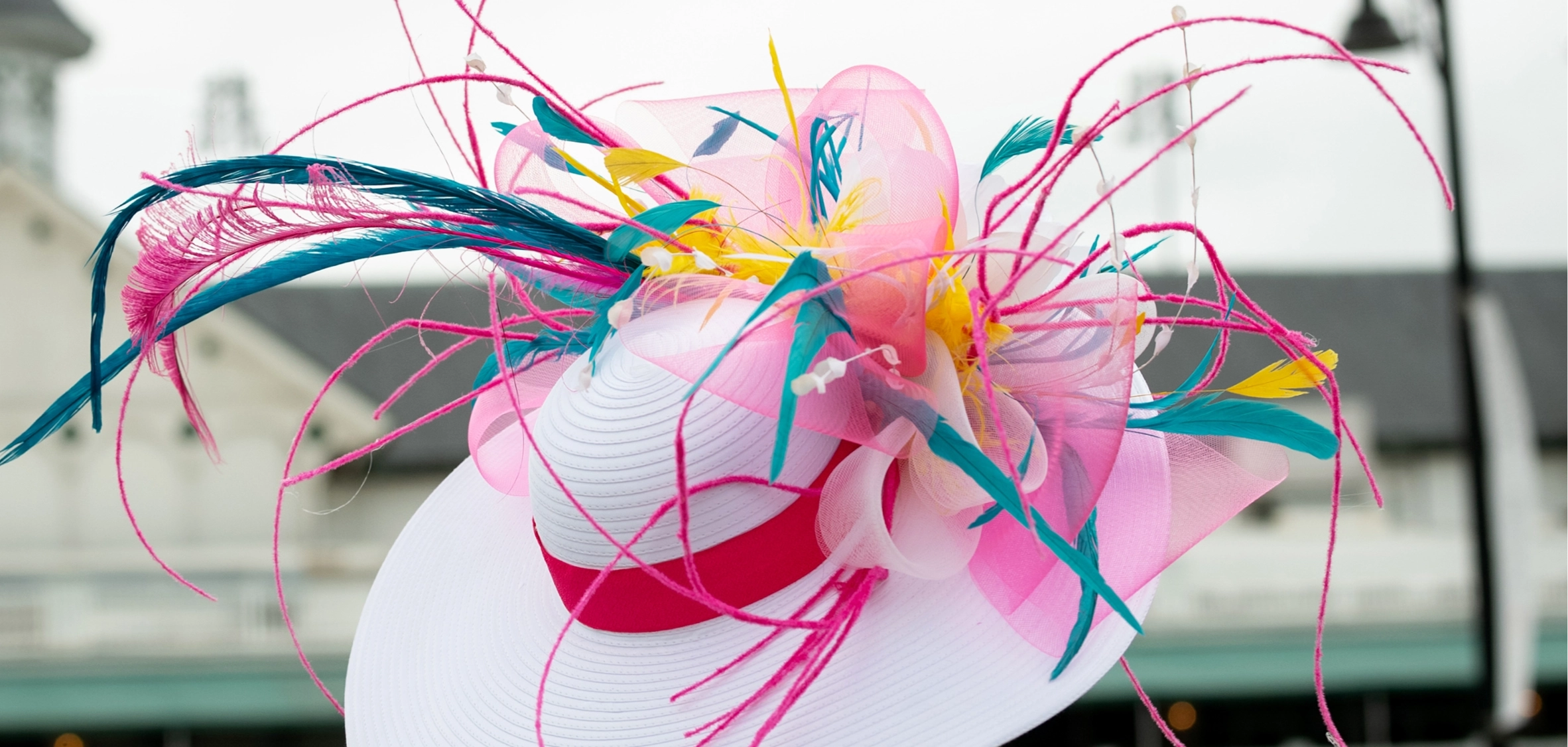 Image Gallery tec-nut.com for A1 Milliner - Website Builder, No Coding Website, Tec-Nut.com Websites, Free website template, Free Website, Headwear, Millinery art, Easy Website, Best Website Builder, Company Website, Simple Website, easy website