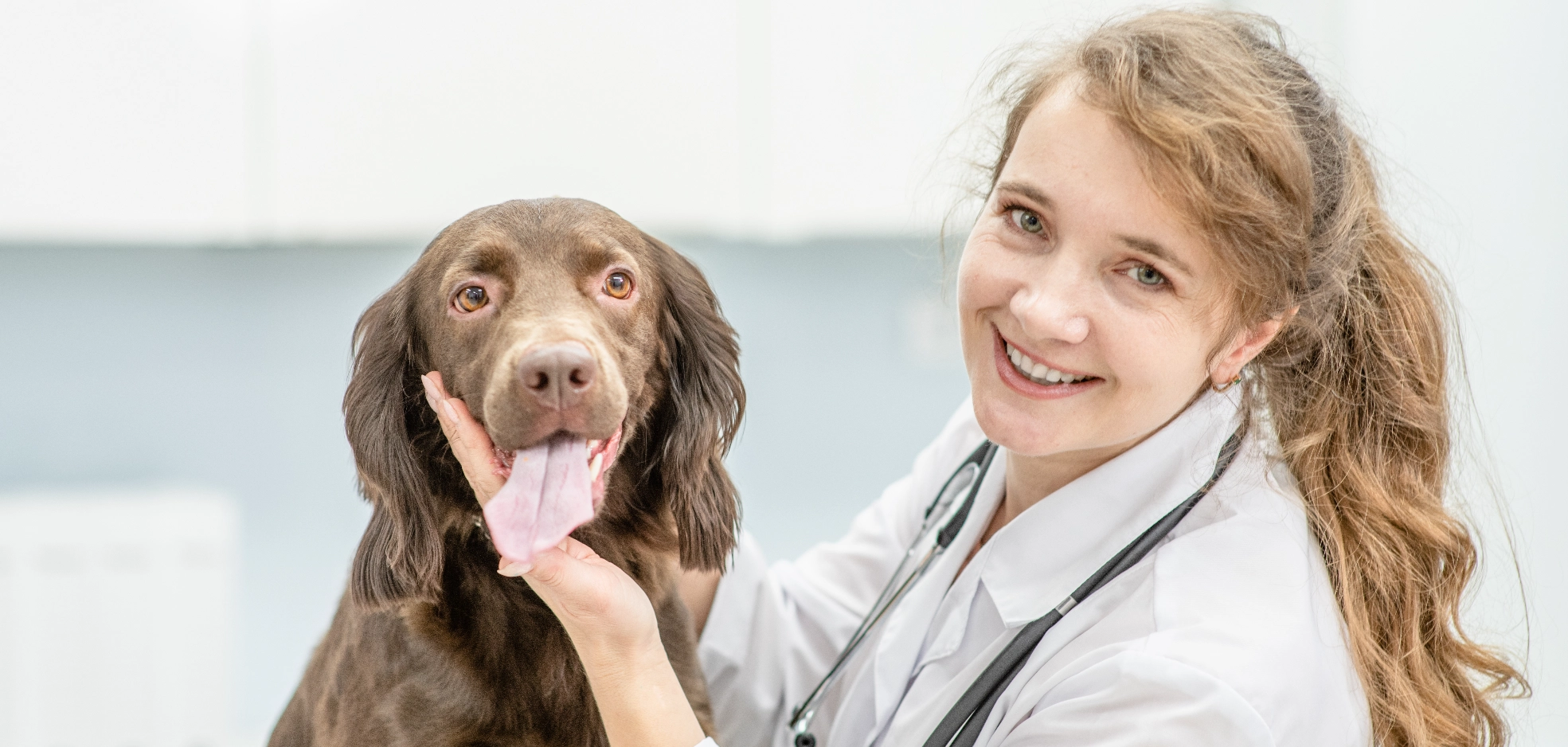 Jenny's Veterinarian Veterinarian , New Company, No Coding Website,  Animal hospital, Free website template,  Veterinary clinic, Better Than Wix, Easy Website, Animal care Serving Dorking