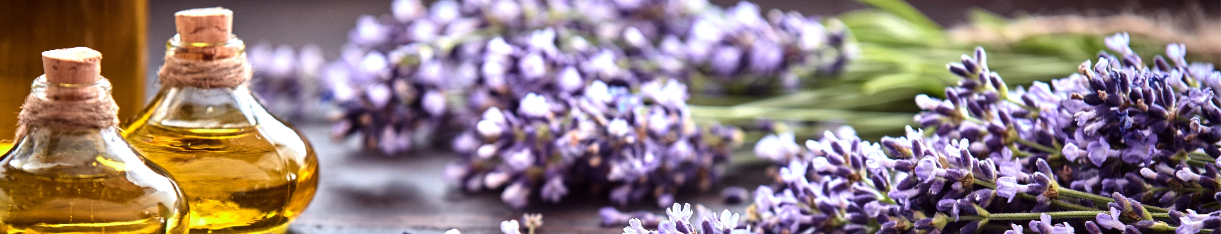 Image Gallery tec-nut.com for Surrey Aromatherapy - Tec-Nut.com Websites, Aromatherapy diffuser, Simple Website, Website Builder, Free website template, Aromatherapy benefits, Aromatherapy candles, Best Website Builder, Easy Website, Aromatherapy massage, Free Website, New Website