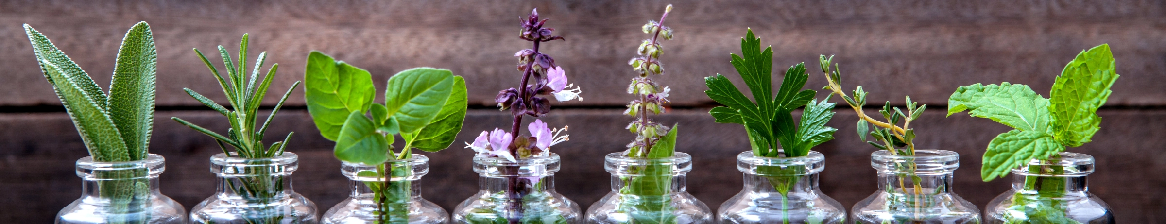Image Gallery tec-nut.com for Surrey Aromatherapy - Aromatherapy massage, Simple Website, Tec-Nut.com Websites, easy website, Free website template, Website Builder, New Company, New Website, Company Website, Aromatherapy diffuser, Aromatherapy benefits, Free Website