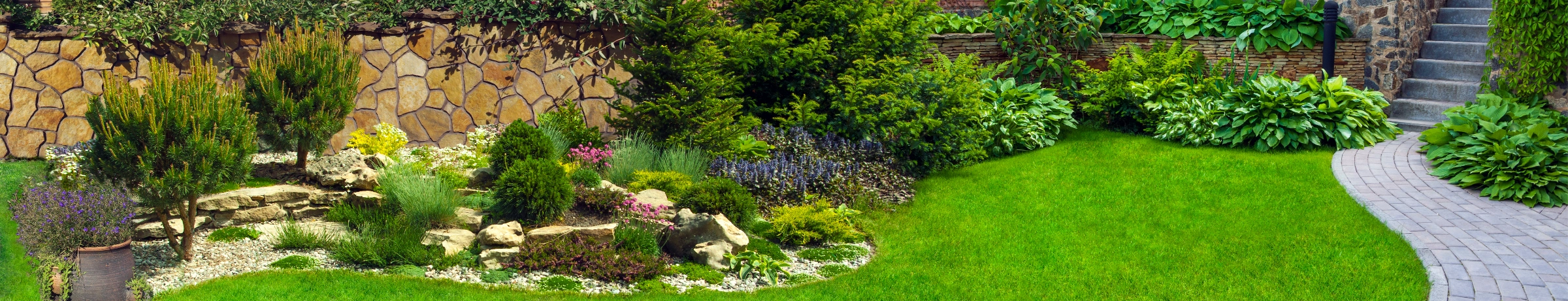 Image Gallery tec-nut.com for A1 Gardener - Website Builder, No Coding Website, Free Website, Free website template, Company Website, Garden design, easy website, Garden maintenance, Tree pruning, New Website, Free Website, Tec-Nut.com Websites