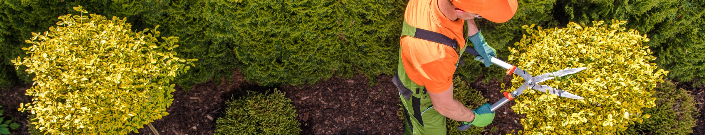Image Gallery tec-nut.com for A1 Landscaper - Free Website, New Website, Free website template, Lawn care, Hardscaping, easy website, Tree services, New Company, Simple Website, Free Website, Garden maintenance, Website Builder