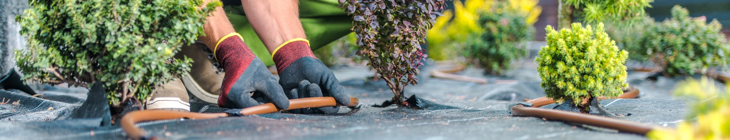 Image Gallery tec-nut.com for A1 Landscaper - New Website, easy website, Lawn care, Hardscaping, Free website template, Tec-Nut.com Websites, Easy Website, Company Website, New Company, No Coding Website, Website Builder, Simple Website