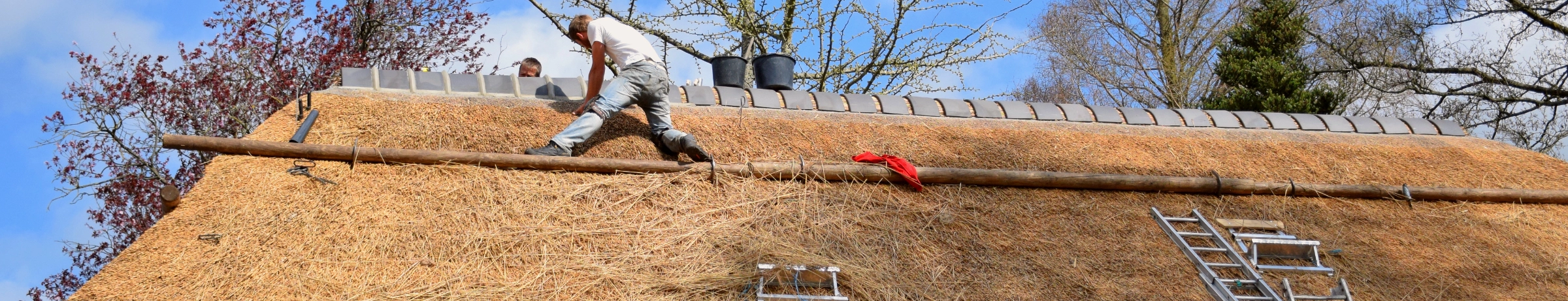 Image Gallery tec-nut.com for Surrey Thatcher - Thatched roofs, Website Builder, Company Website, Thatch repairs, New Website, Simple Website, Thatcher, Free Website, Free website template, easy website, Best Website Builder, Thatching services