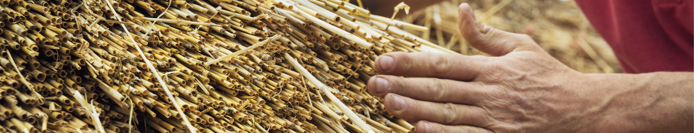 Image Gallery tec-nut.com for Surrey Thatcher - easy website, Thatching services, Thatch repairs, Simple Website, Website Builder, No Coding Website, Free Website, Tec-Nut.com Websites, Easy Website, Best Website Builder, New Company, Free Website