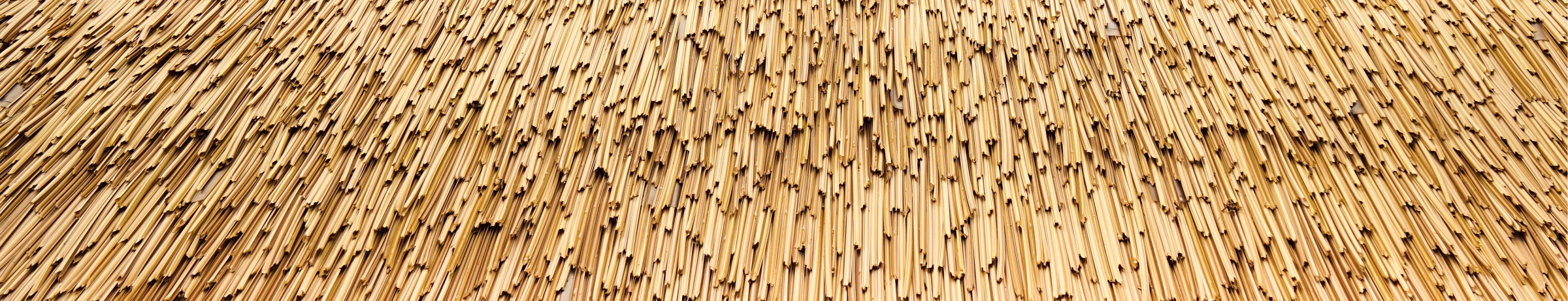 Image Gallery tec-nut.com for Surrey Thatcher - Best Website Builder, Free Website, Free website template, Company Website, Thatched roofs, New Company, No Coding Website, Thatcher, Free Website, Simple Website, Thatching services, New Website
