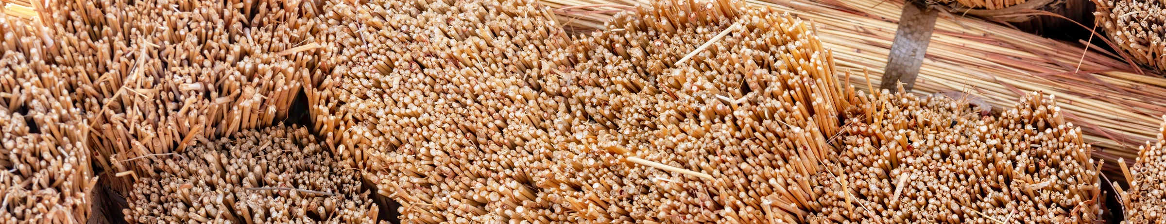 Image Gallery tec-nut.com for Surrey Thatcher - Simple Website, Thatch repairs, easy website, Free website template, Thatcher, Roof thatching, Easy Website, Free Website, Thatching services, No Coding Website, Tec-Nut.com Websites, Thatched roofs