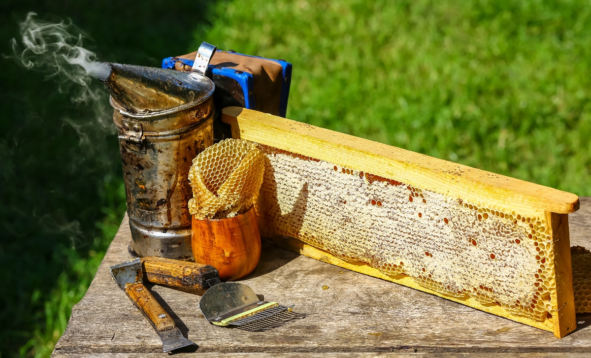 Willy's Beekeeping Beekeeping , Company Website, , No Coding Website, Simple Website, Free Website, Tec-Nut.com Websites, Website Builder, Best Website Builder Serving Dorking