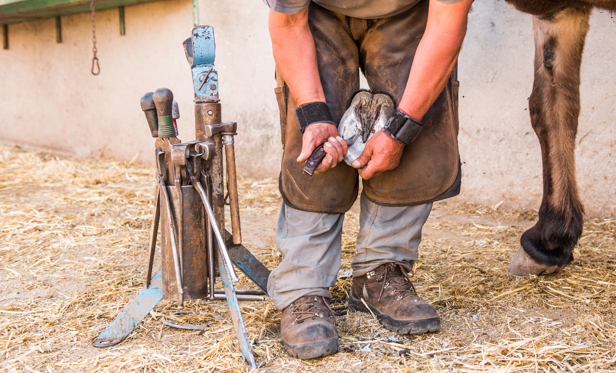 Image Gallery Surrey Farrier Farrier , Horseshoeing,  Equine Podiatry, Company Website, Better than squarespace, Free Website, New Website, No Coding Website, Free Website Serving Dorking , New Company, Better than squarespace, Tec-Nut.com Websites, Free Website, Free Website, Easy Website,  Hoof Care, Simple Website