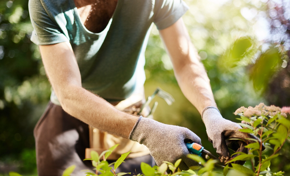 BikeNuts Gardener Serving Dorking