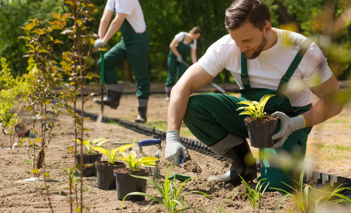 About Image for A1 Gardener - Best Website Builder, Tec-Nut.com Websites, Landscaping services, Free website template, Free Website, Garden design, No Coding Website, Website Builder, Tree pruning, Company Website, Simple Website, Garden maintenance