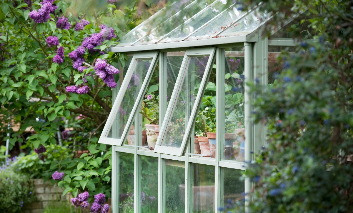 London Greenhouses Greenhouses , Free website template, Easy Website, Company Website, , No Coding Website, New Website, Tec-Nut.com Websites, New Company Serving Dorking