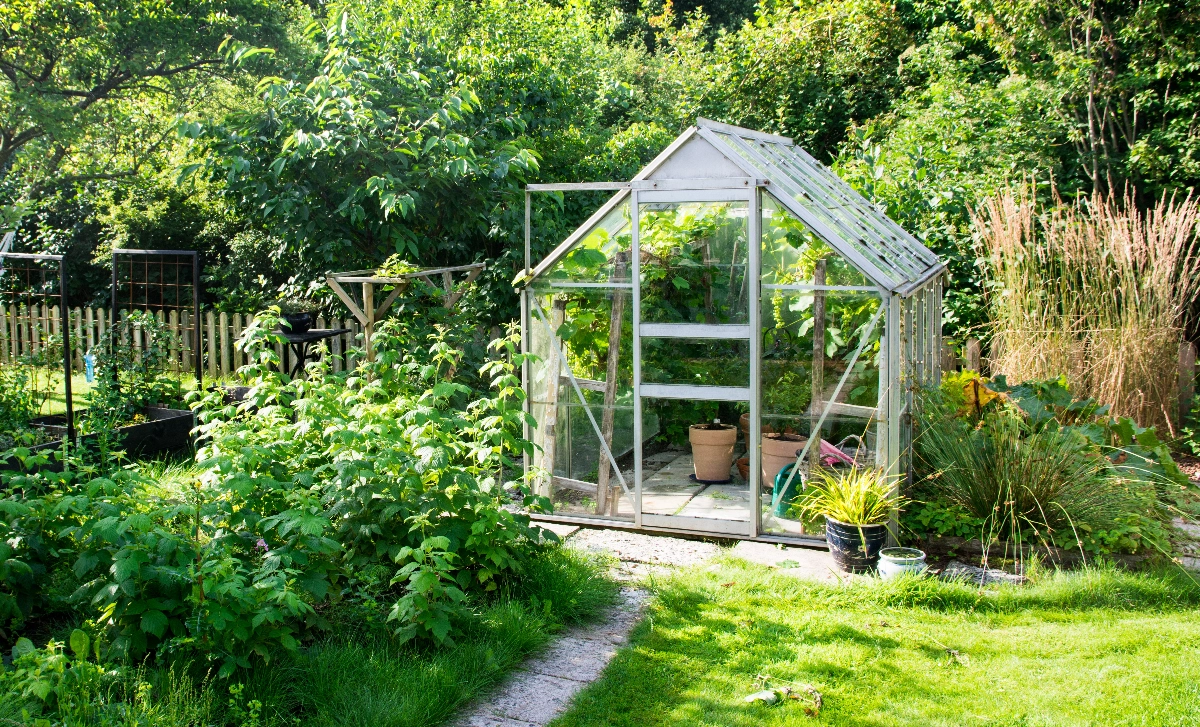 About Image for Ace Greenhouses - No Coding Website, easy website, , Best Website Builder, New Website, Company Website, Easy Website, Free website template, New Company, Free Website, Free Website, Simple Website