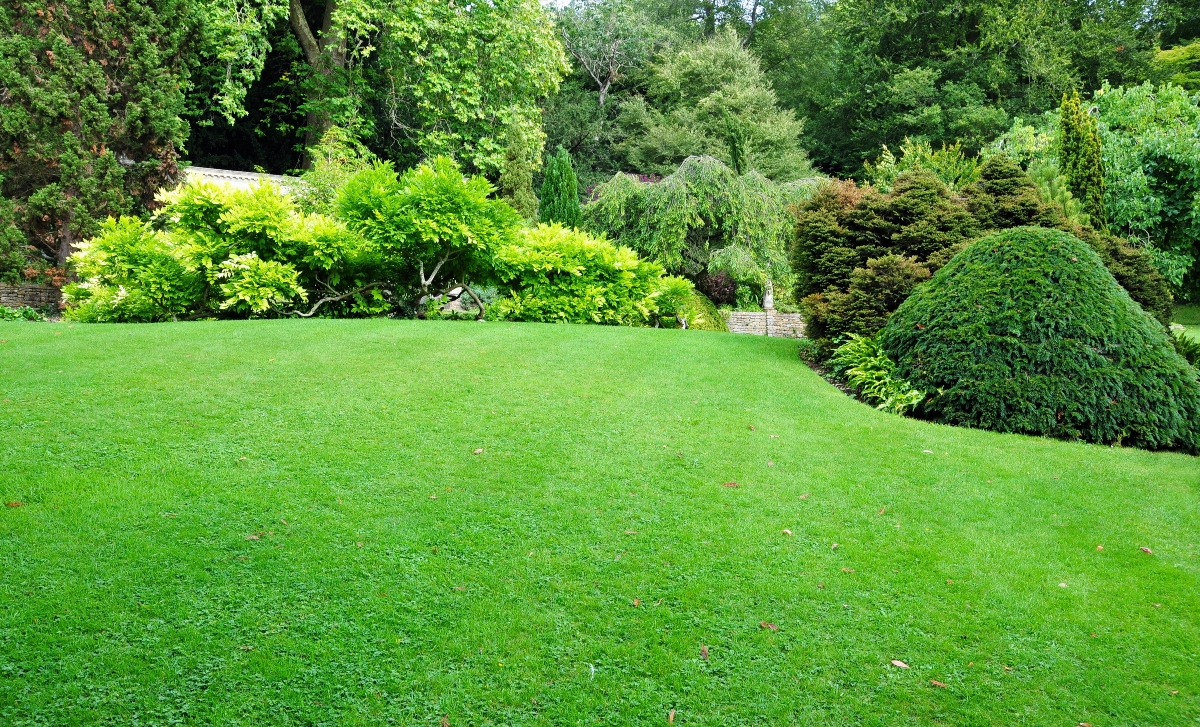 Image Gallery tec-nut.com for A1 Landscaper - Free website template, Simple Website, New Company, Landscape design, No Coding Website, Tec-Nut.com Websites, Website Builder, Easy Website, Company Website, New Website, easy website, Tree services