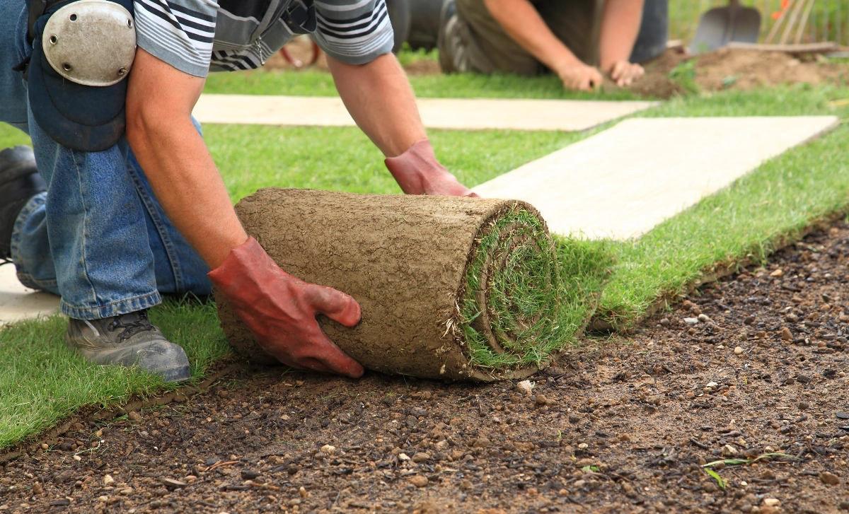 A1 Landscaper about our company image -  Garden maintenance, New Website, easy website, Website Builder, Free Website, Tec-Nut.com Websites, Free website template,  Hardscaping, New Company, Company Website,  Tree services, Best Website Builder