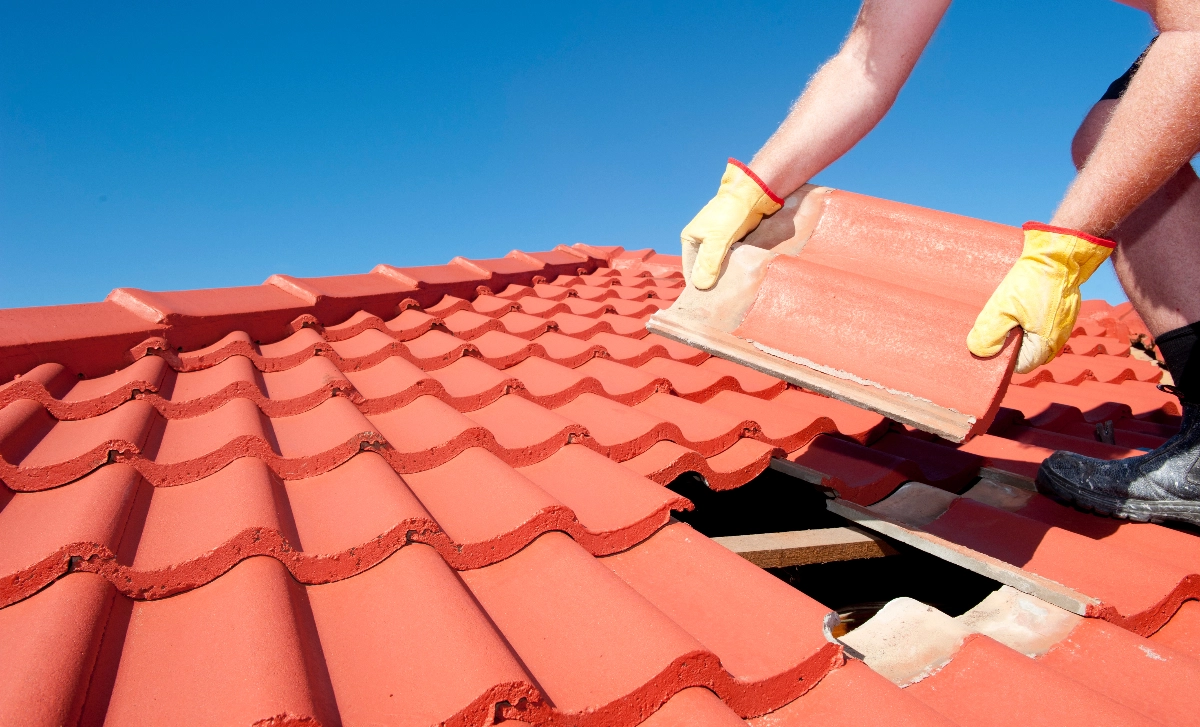 About Image for Jenny's Roofing - Gutter cleaning, Leak detection, Company Website, Free Website, Easy Website, Free Website, New Website, easy website, Roof installation, Roof repair, Storm damage, No Coding Website
