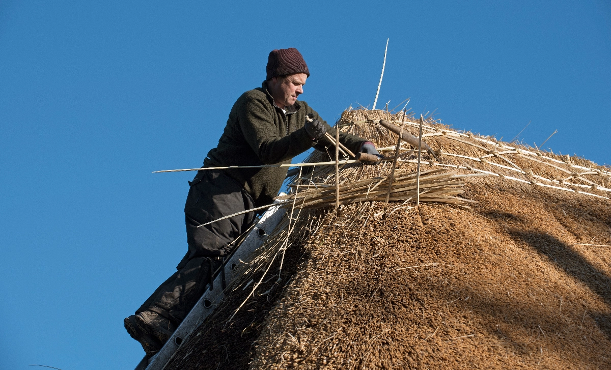 Surrey Thatcher about our company image - easy website, Tec-Nut.com Websites, New Website, Thatcher, Simple Website, Easy Website,  Thatch repairs, Company Website, Free website template, New Company, Website Builder, Free Website