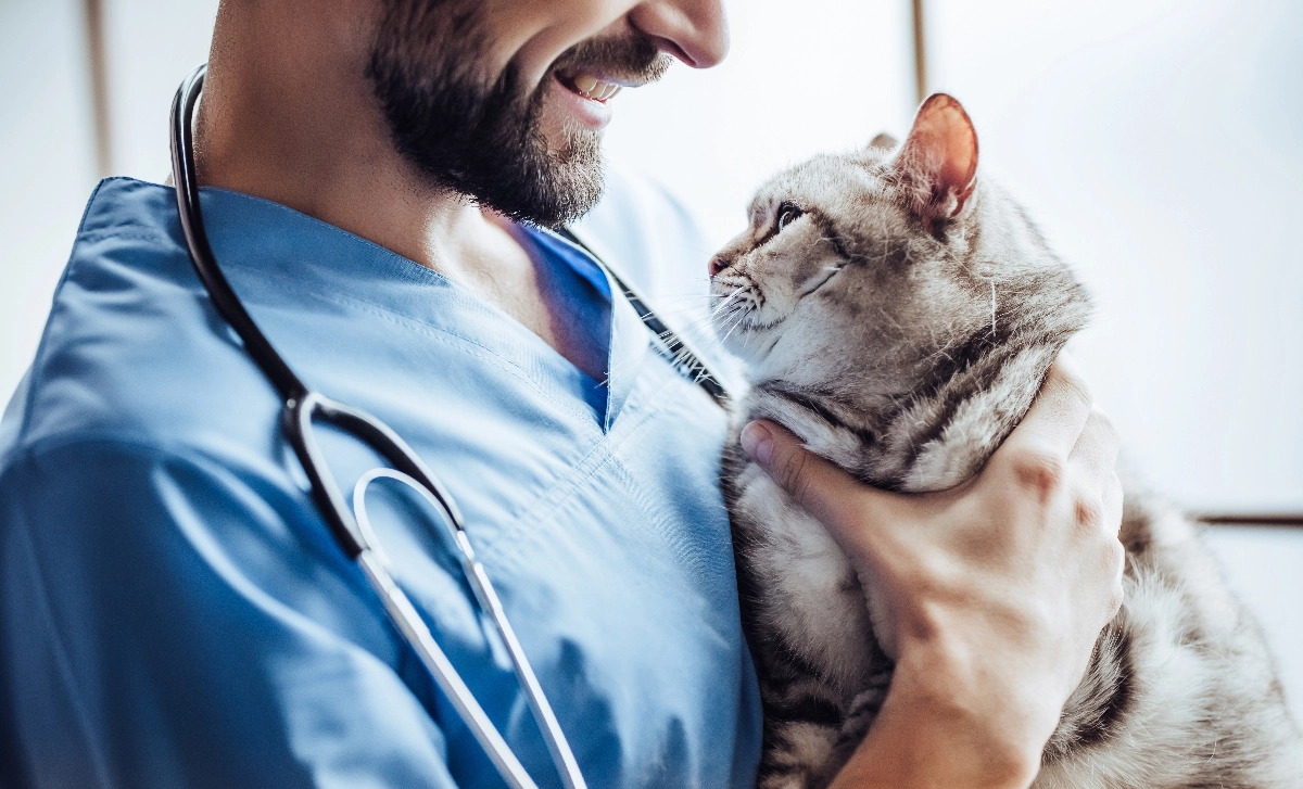 Our about image for Willy's Veterinarian. See more information for our Dorking location.