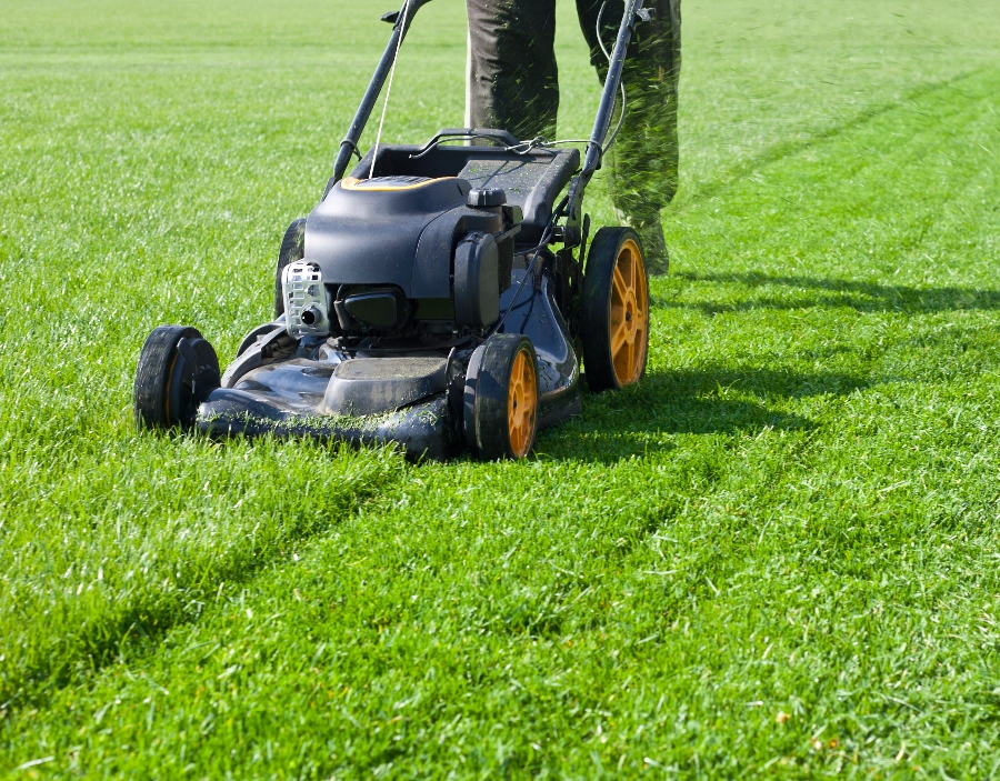 Image for BikeNuts Lawn Mowing Service for BikeNuts in the Dorking area