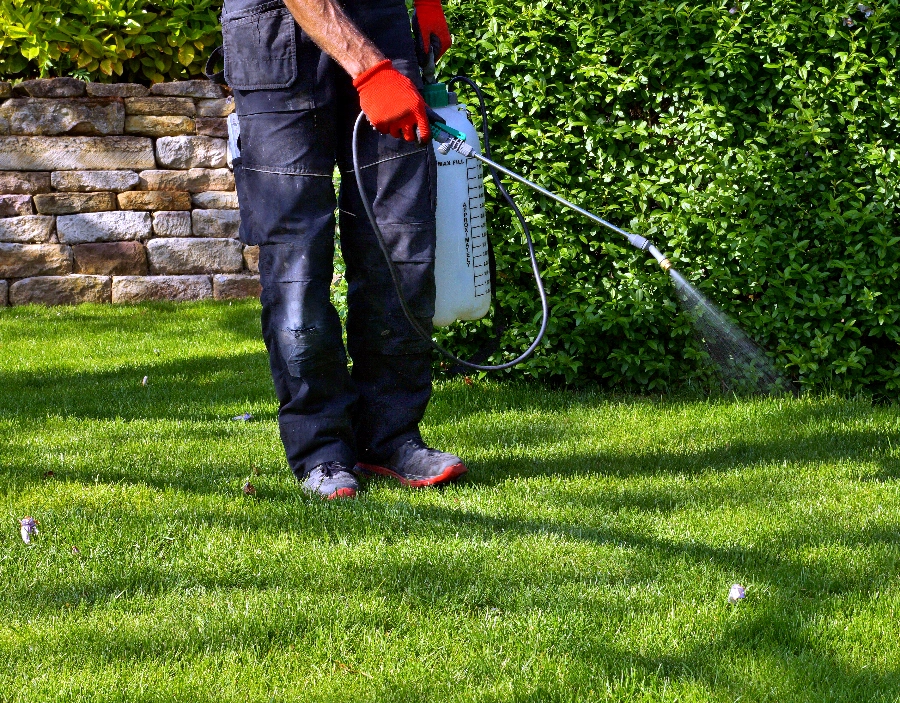 Image for BikeNuts Weed Control Service for BikeNuts in the Dorking area