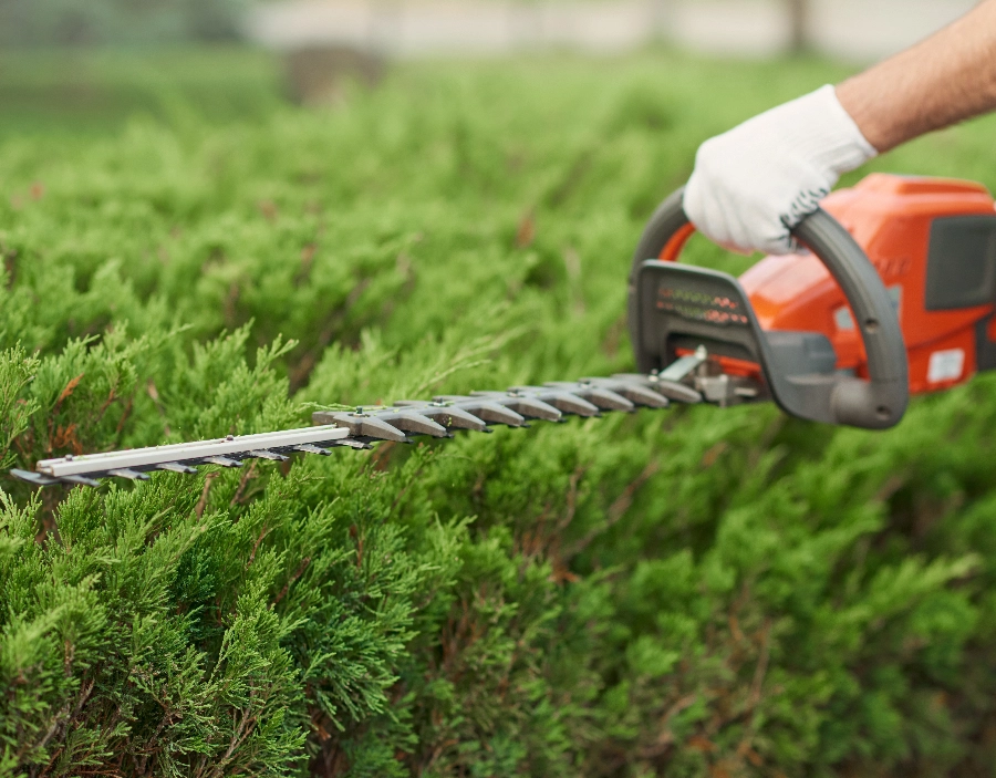 Image for BikeNuts Hedge Cutting Service for BikeNuts in the Dorking area