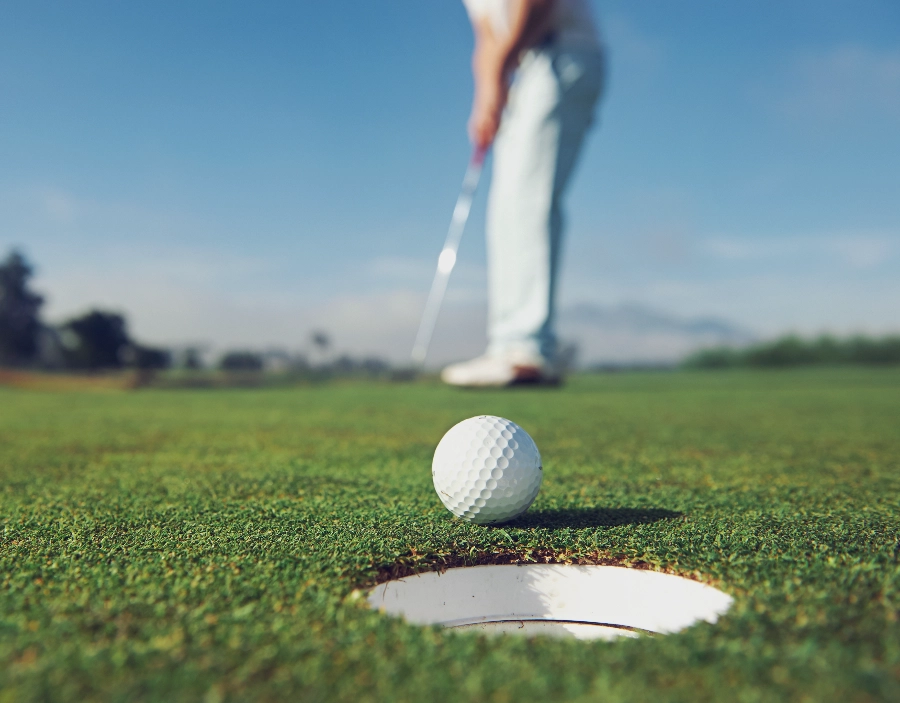 Image of tec nut single websites demo Sports Need a new company website?: Wix Website, Hosting, website design, web design for small businesses, small business website designs, great websites, Website, company website design, build a website, building small business website, Wix