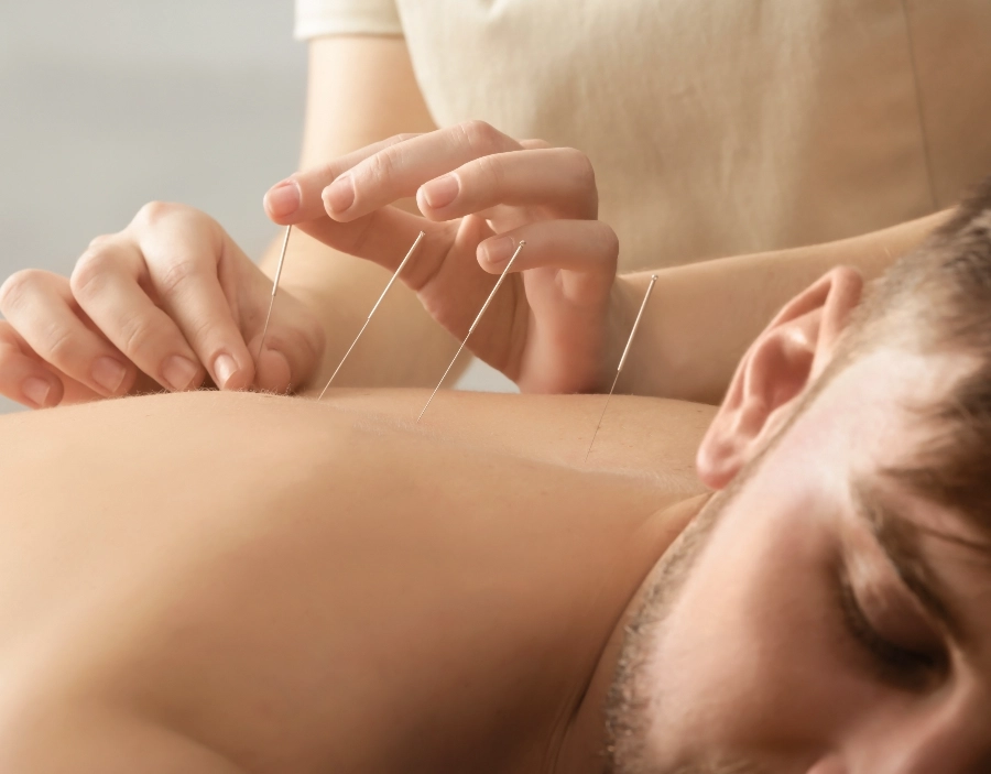 Image of tec nut single websites demo Acupuncture Need a new company website?: Bootstrap Templates, small company website, example for website, sample website, website design, New Website, Trade Website, custom website design company, website design for small business, free website builder, Wix