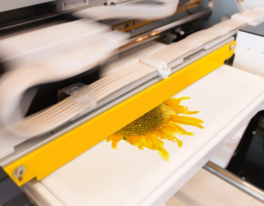 Image of tec nut single websites demo Digital Printing Need a new company website?: business on web, websites for start-ups, website design, Hosting, Website, company website design, Trade Website, Instant Website, web design for small businesses, small company website, Wix