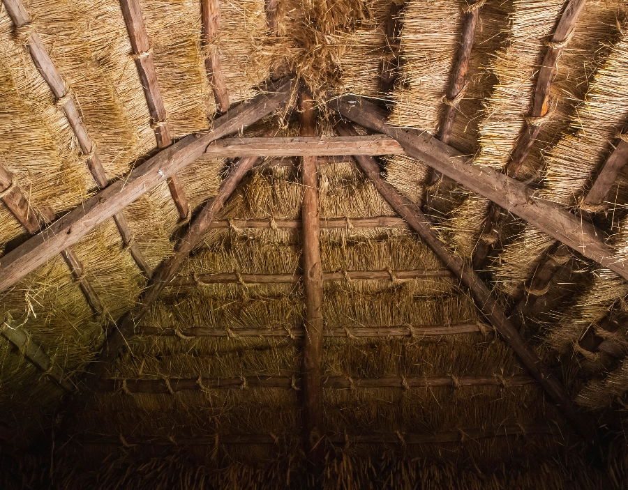 Image for Ace Thatcher Insurance Surveys Service - Thatching services, New Company, Tec-Nut.com Websites, New Website, Free Website, Company Website, Best Website Builder, Thatch repairs, Free Website, No Coding Website, Website Builder, Thatched roofs